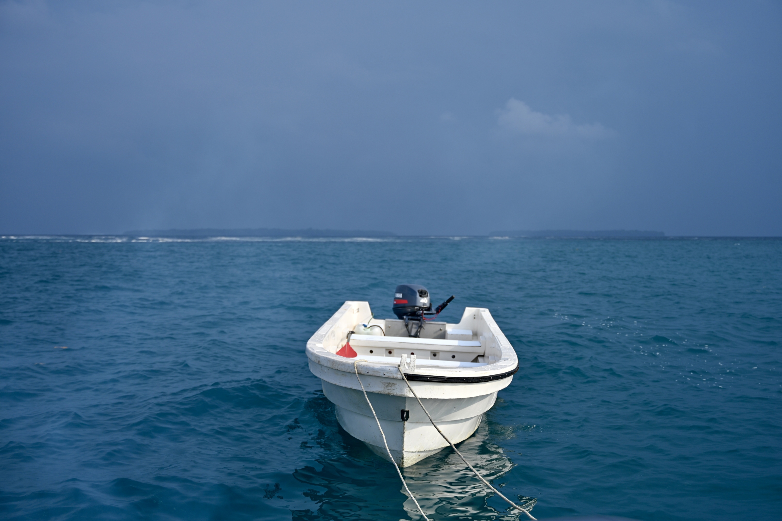 20′ panga